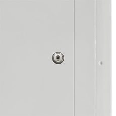 Hinged access door with keyed latch
